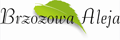 Tree Development Group Sp. z o.o.