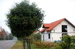 Zdjęcie inwestycji Novo Park