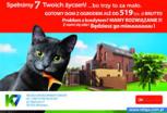 Zdjęcie inwestycji Gdańska 125