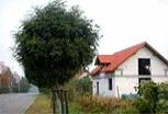 Zdjęcie inwestycji Gdańska 125
